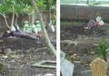 Viral, Seorang Ibu di Demak Tidur di Samping Makam Anaknya yang Jadi Korban Tabrak Lari