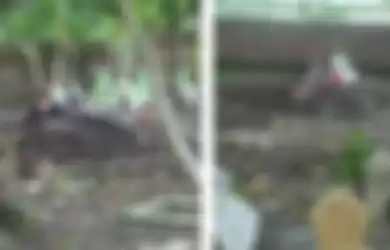 Viral, Seorang  Ibu Tidur di Samping Makam Anaknya yang Jadi Korban Tabrak Lari