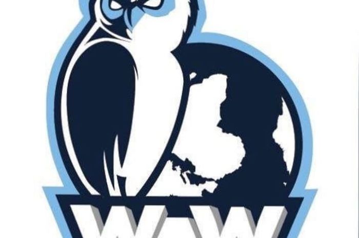 47++ Gambar burung hantu buat logo terupdate