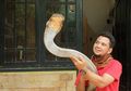 Sering Disalahkan Hingga Dianggap Memanfaatkan Ular Peliharaannya Demi Popularitas, Panji Petualang Kini Justru Bertaruh Nyawa Lepaskan Garaga ke Habitat Aslinya