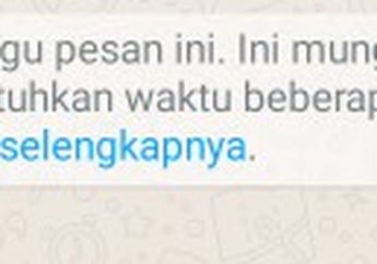 WhatsApp Muncul Pesan ‘Waiting for this message. This may take a while’ Apa Sebabnya?