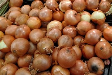 Menumbuhkan alis botak dengan bawang bombay