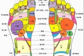 Kenali berikut ini 6 titik pijat di kaki yang menjadi kunci untuk meredakan beragam keluhan penyakit.