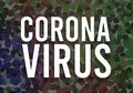 Di Tengah Wabah Virus Corona yang Masih Merajalela, Kalangan Petani Justru Membawa Angin Segar yang Menenangkan Masyarakat Indonesia, Ada Apa?