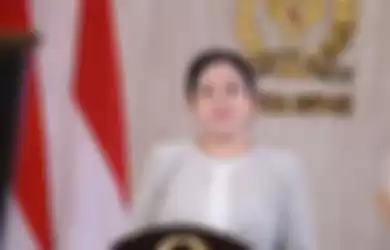Ketua DPR RI  Puan Maharani 