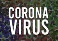 Kabar Buruk dari Virus Corona, Obat Serta Asal Usulnya Padahal Belum Ditemukan, Ilmuwan Keluarkan Peringatan Bahwa Virus Corona Telah Bermutasi, Kini Ada Dua Jenis Viru Corona
