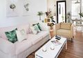 Mau Bersihkan Sofa dari Noda Es Krim dan Buat Tanaman Hias Mengilap? Ini Trik Rahasianya!