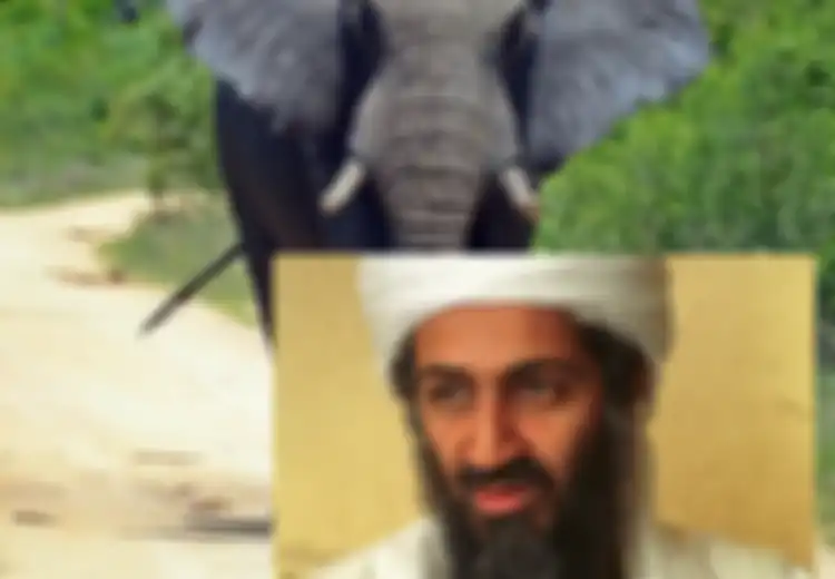 Diberi Nama Mirip Pemimpin Al-Qaeda, Hewan Ini Mengobrak-abrik Desa dan Membunuh 5 Orang, Apa yang Terjadi?