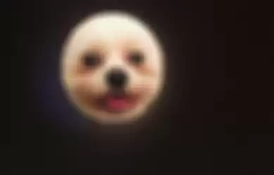Moon Selfie