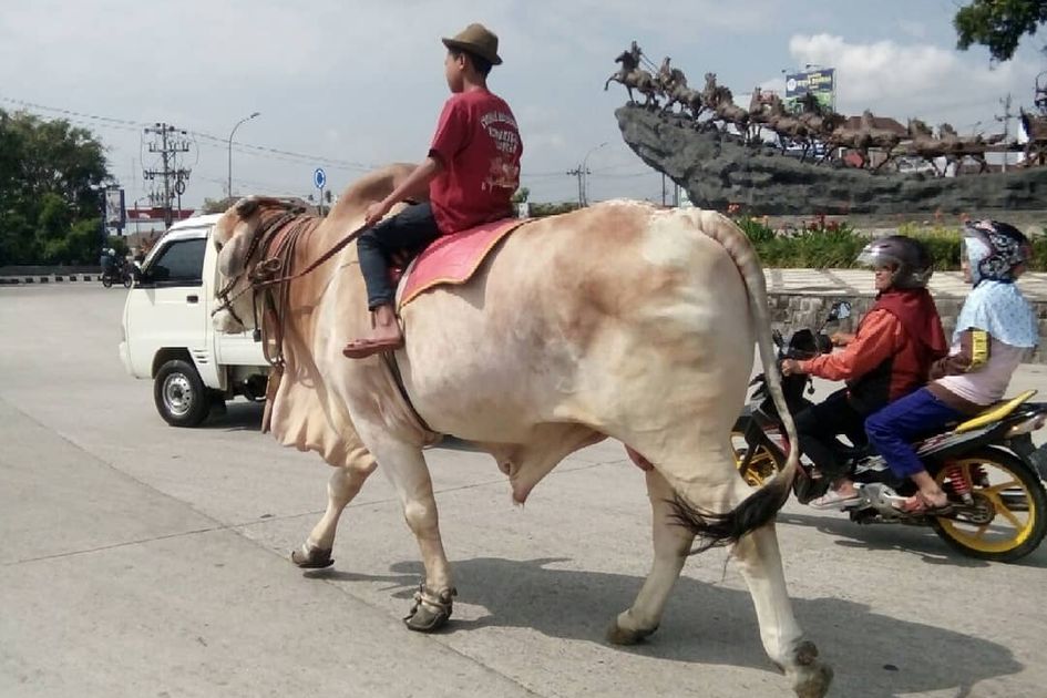 Cara Melamar Di Sapu Jalanan Semarang Dinas Penanaman Modal Terpadu Satu Pintu Kamu Harus Tahu Apakah Posisi Yang Kamu Incar Sudah Sesuai Dengan Kualifikasi Yang Kamu Punya Atau Tidak Dripbam