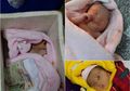 Seorang Bayi Berusia 10 Hari Dibuang Bersama Uang Sejumlah Rp300.000