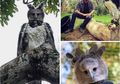 Ini Bukan Orang Pake Kostum Burung, Tapi Elang Terbesar di Dunia!