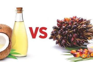 Perbedaan Minyak Sawit dan Minyak Kelapa, Dilihat dari Kandungan Gizi dan Manfaat Kesehatan, Lebih Bermanfaat Mana?