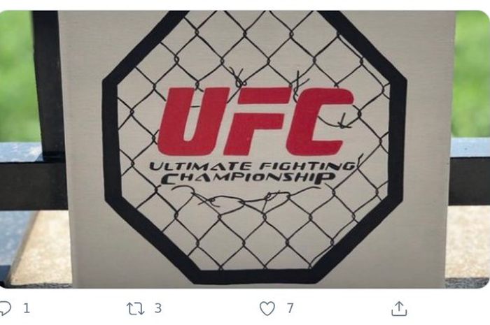 Logo UFC.