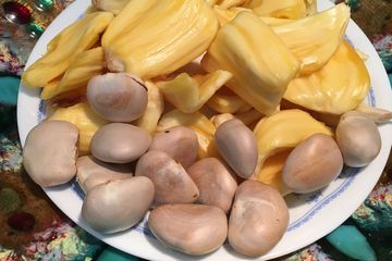 Manfaat biji nangka