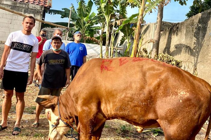 Pemain Persija Jakarta, Rezaldi Hehanussa, bersama dengan sapi yang menjadi kurbannya di Hari Raya Idul Adha.