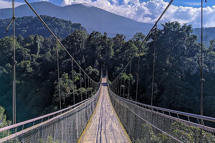 6 Rekomendasi Tempat Wisata di Sukabumi, Jembatan Gantung Hingga Curug
