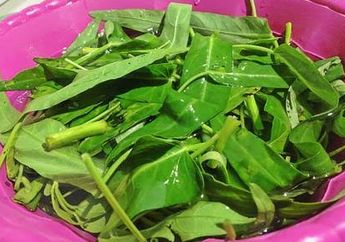 Wanita Wajib Tahu, Cuma Campurkan Air Rendaman Kangkung dan Satu Sendok Madu Ternyata Ampuh Redakan Nyeri Datang Bulan! Begini Cara Buatnya