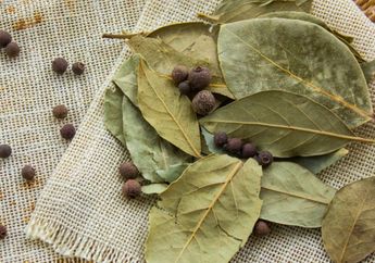 Ini Dia Manfaat Daun Salam untuk Kecantikan Kulit dan Rambut, Salah Satunya Menghilangkan Kutu
