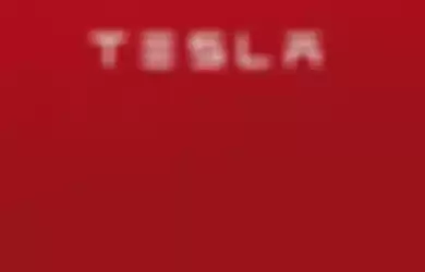 Logo Tesla