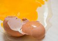 Fakta Telur yang Dipercaya Sebagai Makanan Sehat, Penikmatnya Berisiko Mengalami 3 Penyakit Mematikan Ini