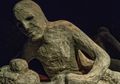 Kisah Pilu Rombongan yang Gagal Selamat dari Letusan Vesuvius