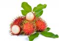 Siapa Sangka Buah Murah Meriah yang Sering Tumbuh di Sekitar Rumah Ini Ternyata Menyimpan Segudang Manfaat untuk Tubuh Kita