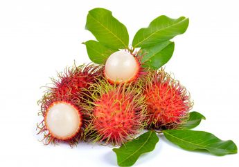 Siapa Sangka Buah Murah Meriah yang Sering Tumbuh di Sekitar Rumah Ini Ternyata Menyimpan Segudang Manfaat untuk Tubuh Kita