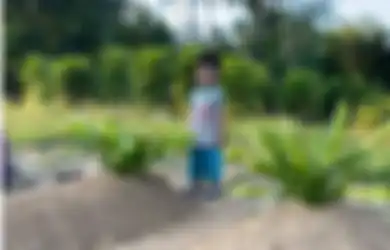 Balita Terlihat Bermain Pasir di Atas Makam Wilayah Malaysia, Saat Diajak Pulang Tidak Mau, Rupanya Penyebabnya Adalah Hal Tragis Ini