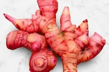 Khasiat jahe merah untuk obat asam urat, jangan langsung minum obat!
