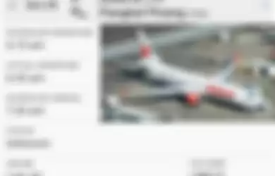 Aplikasi Flightradar 24 dapat memerlihatkan perjalanan sebuah penerbangan dari seluruh dunia