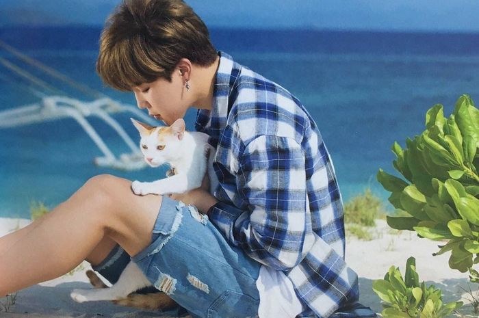 10 Caption Instagram Yang Lucu Buat Ngerayain Hari Kucing Internasional Semua Halaman Cewekbanget