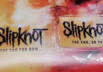 Slipknot the end. Slipknot the end so far пластинка.
