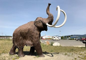 Temuan Nun cho ga Buktikan Peradaban Purba Zaman Es di Yukon