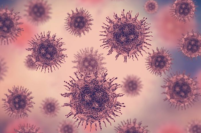 Fakta soal NeoCov yang diduga varian baru virus corona