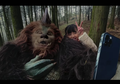Mirip My Neighbor Totoro, 'Nian' Film Pendek Terbaru Lulu Wang Direkam Pake Kamera Smartphone