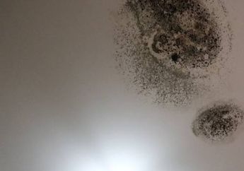 Agar Rembes dan Bocor di Kamar Mandi Tak Terjadi Berulang Kali, Jangan Salah Pilih Waterproofing!