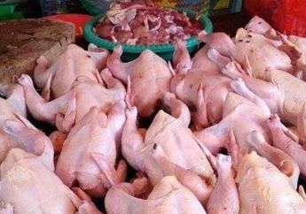 Jelang Libur HUT RI ke-77, Harga Sembako Daging Ayam Potong Alami Kenaikan Jadi Segini per Kilogram, Sementara Bawang Merah Turun!