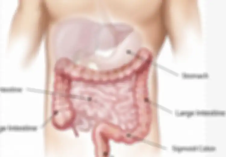 Kesehatan Usus pun Perlu Diperhatikan, Yuk Bersihkan Usus Anda dengan 6 Cara Alami Berikut!