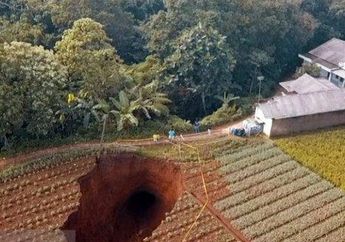 Ngeri! Lubang Menganga Tiba-tiba Muncul di Tengah Sawah hingga Warga Sukabumi Dihantui Ketakutan, Begini Keterangan Ahli Geologi