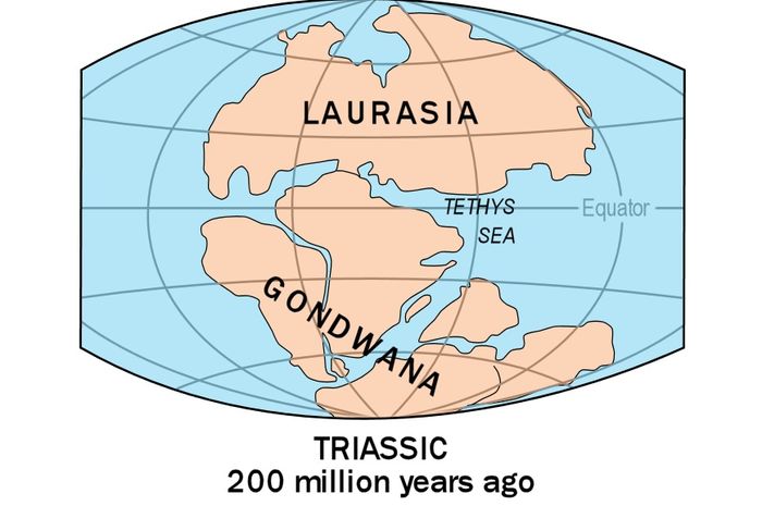 Sekarang Keadaan Alamnya Berbeda, Dulunya Antartika dan