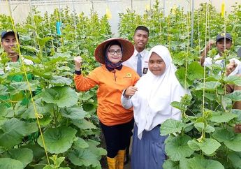 Tailor Made Training Plus, Program Kerja Sama Pendidikan Vokasi Indonesia-Belanda Dukung Siswa SMK Semakin Maju