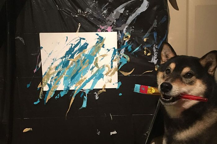 Menggemaskan Inilah Aksi Hunter Anjing Shiba Inu Yang Jadi