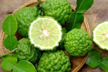 Daun Jeruk Purut – newstempo