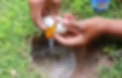 Pria Ini Memasukkan Telur Ayam dalam Lubang Berair yang Ada pada Rerumputan, Kemudian Secara Mengejutkan Hewan Tak Terduga Ini Muncul