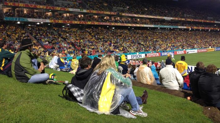 Suasana tribun bukit dengan rumput di Stadion McDonald Jones, Newcastle, Australia, pada laga Piala Asia 2015 antara Australia kontra UEA.