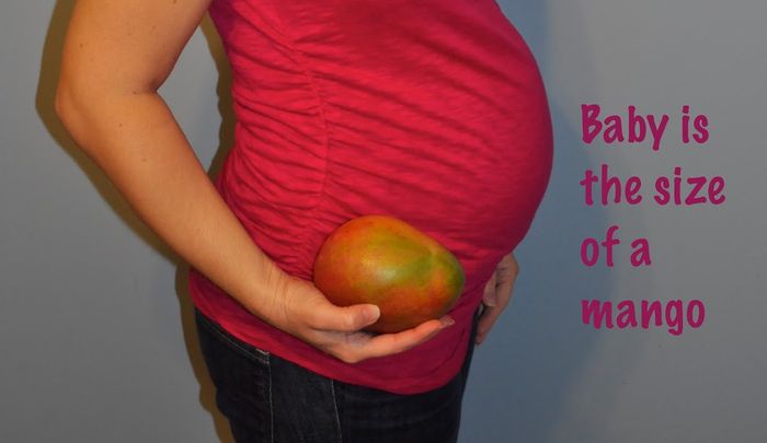 Tanda-tanda hamil 19 minggu, bayi sebesar mangga.