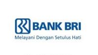 Lowongan Kerja Bumn Bank Bri Mei 2021 Sma Smk Dan Fresh Graduate Bisa Mendaftar Berikut Kualifikasinya Semua Halaman Grid Hot