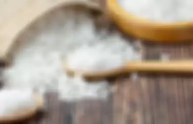 Garam bisa diandalkan untuk usir tikus (ilustrasi)