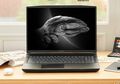 MSI Resmi Luncurkan Laptop Creator Series Terbaru di Indonesia